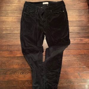 Madewell black velvet pants